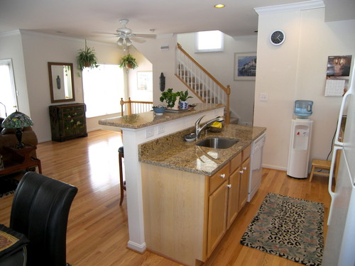 Kitchen View 2